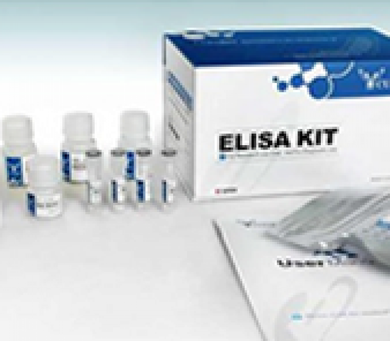 ELISA Kits