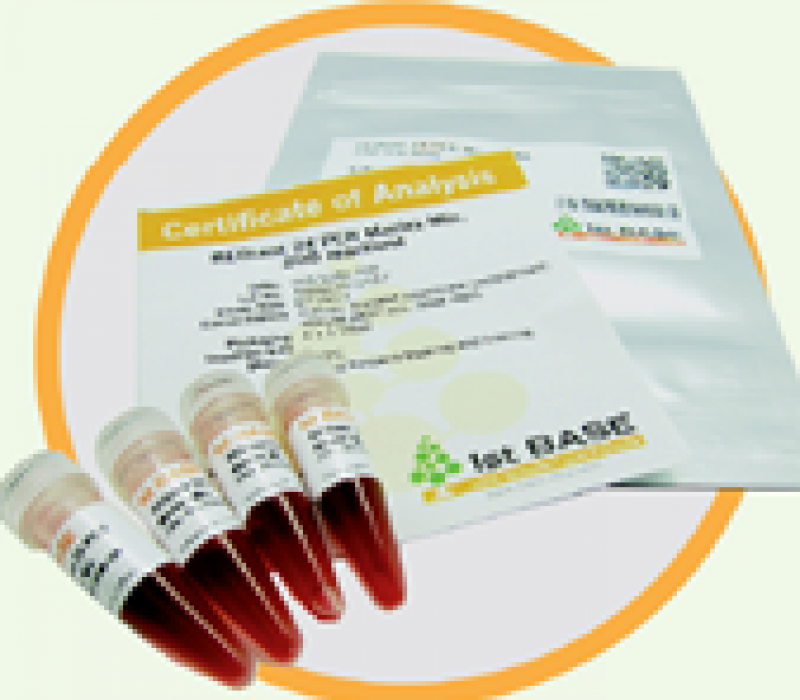 Rediant 2X PCR Master Mix